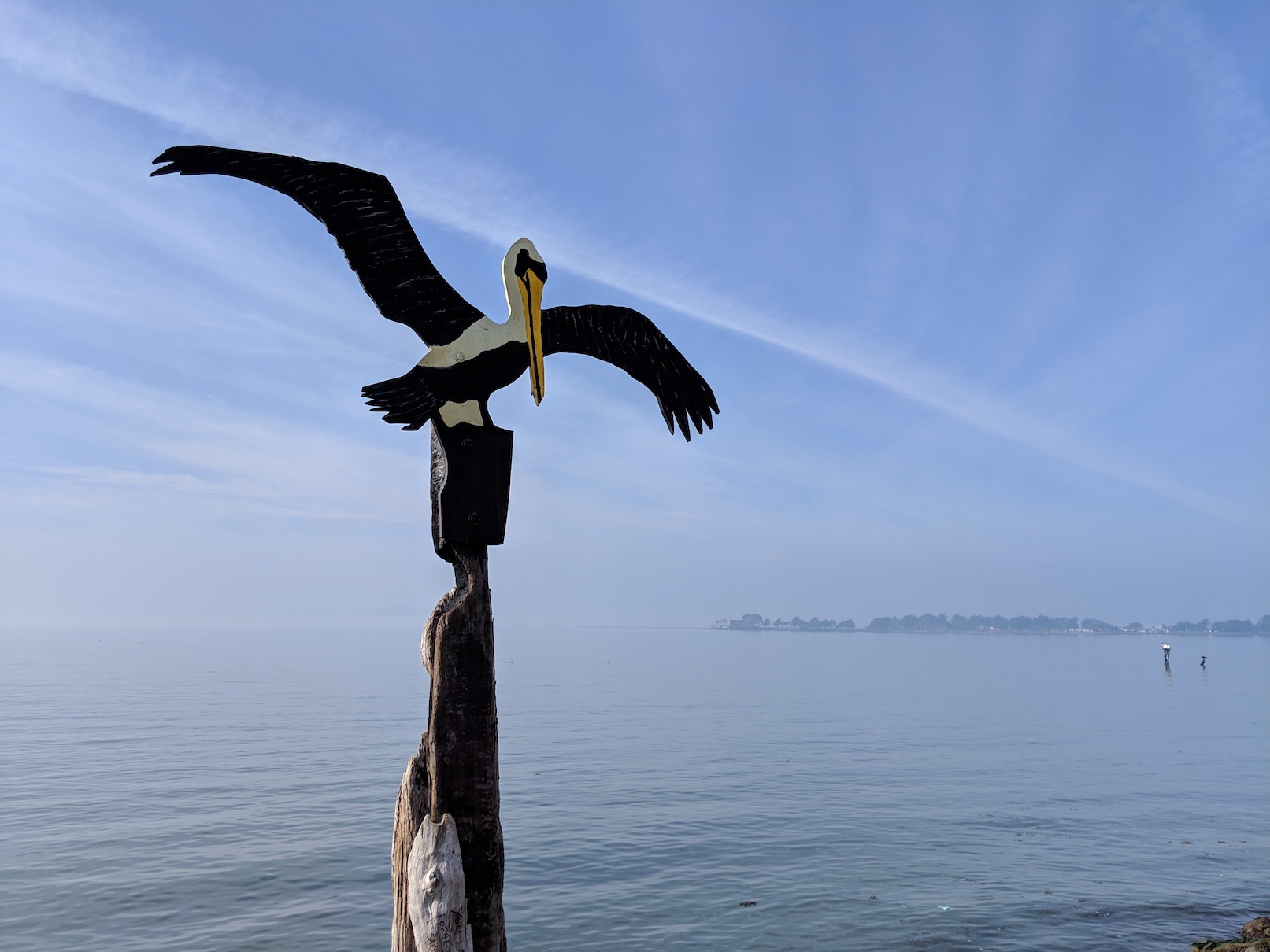 bird_sign